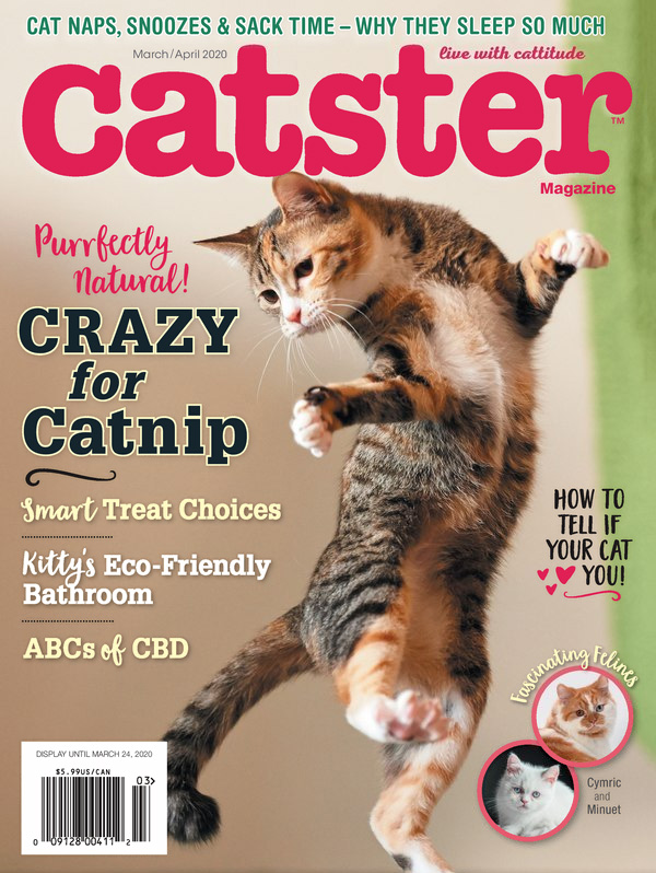 Catster March 01, 2020 Issue Cover