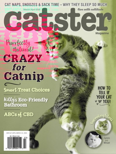 Catster March 01, 2020 Issue Cover