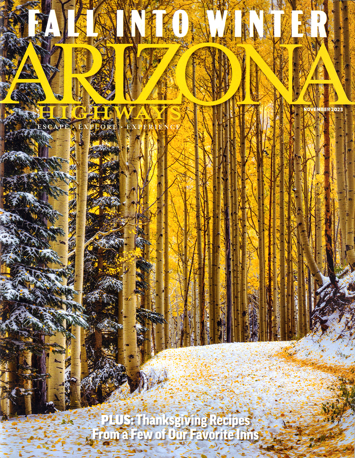 ARIZONA HIGHWAYS 1984年 1年分 アリゾナハイウェイ 洋書 ARIZONA HIGHWAYS 1984年 1年分 アリゾナハイウェイ 洋書 - メルカリ