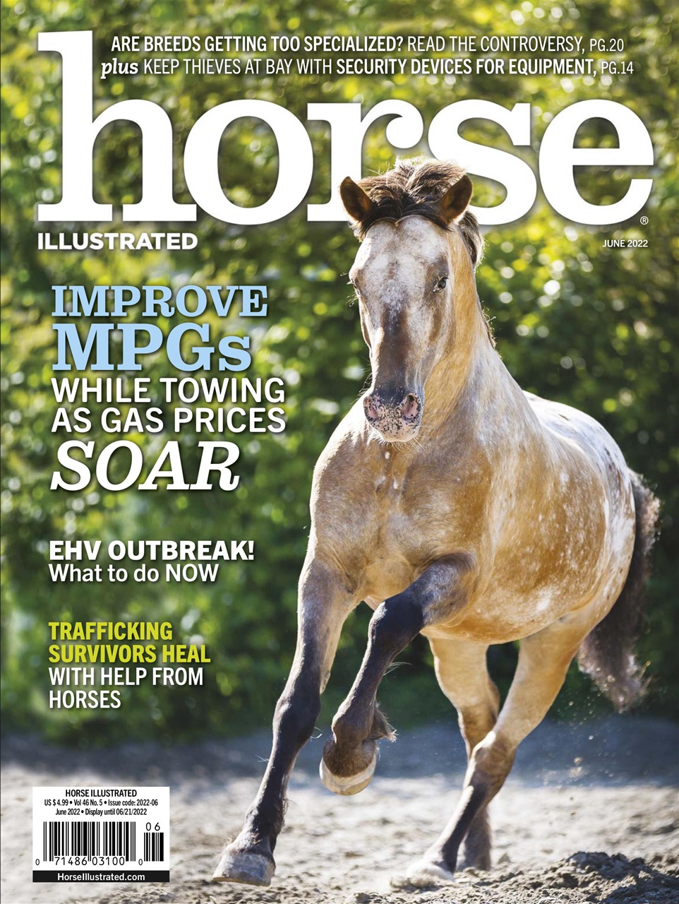 Horse-Illustrated June 01, 2022 Issue Cover