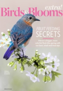 Birds-and-Blooms-Extra March 01, 2026 Issue Cover