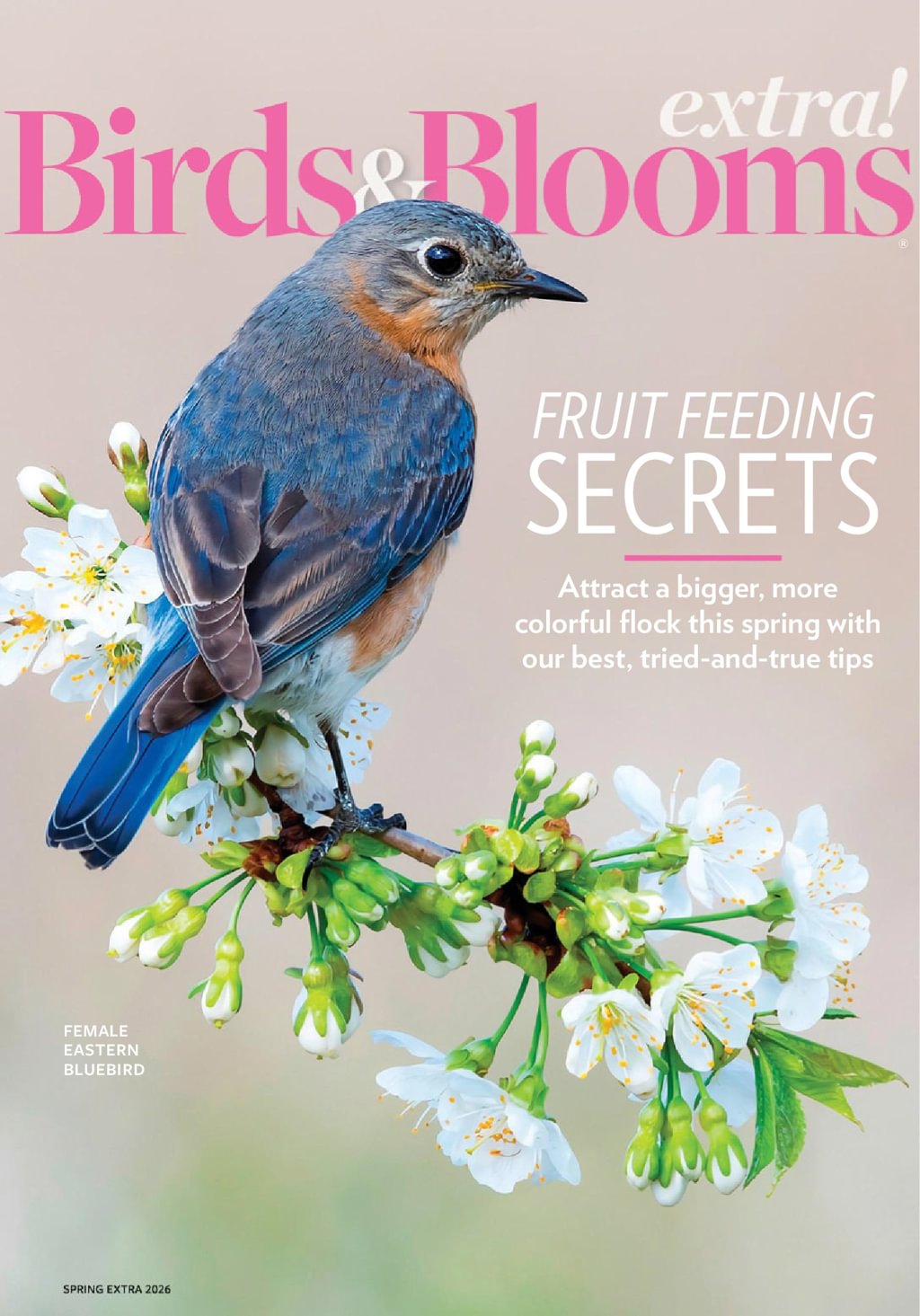 Birds-and-Blooms-Extra March 01, 2026 Issue Cover