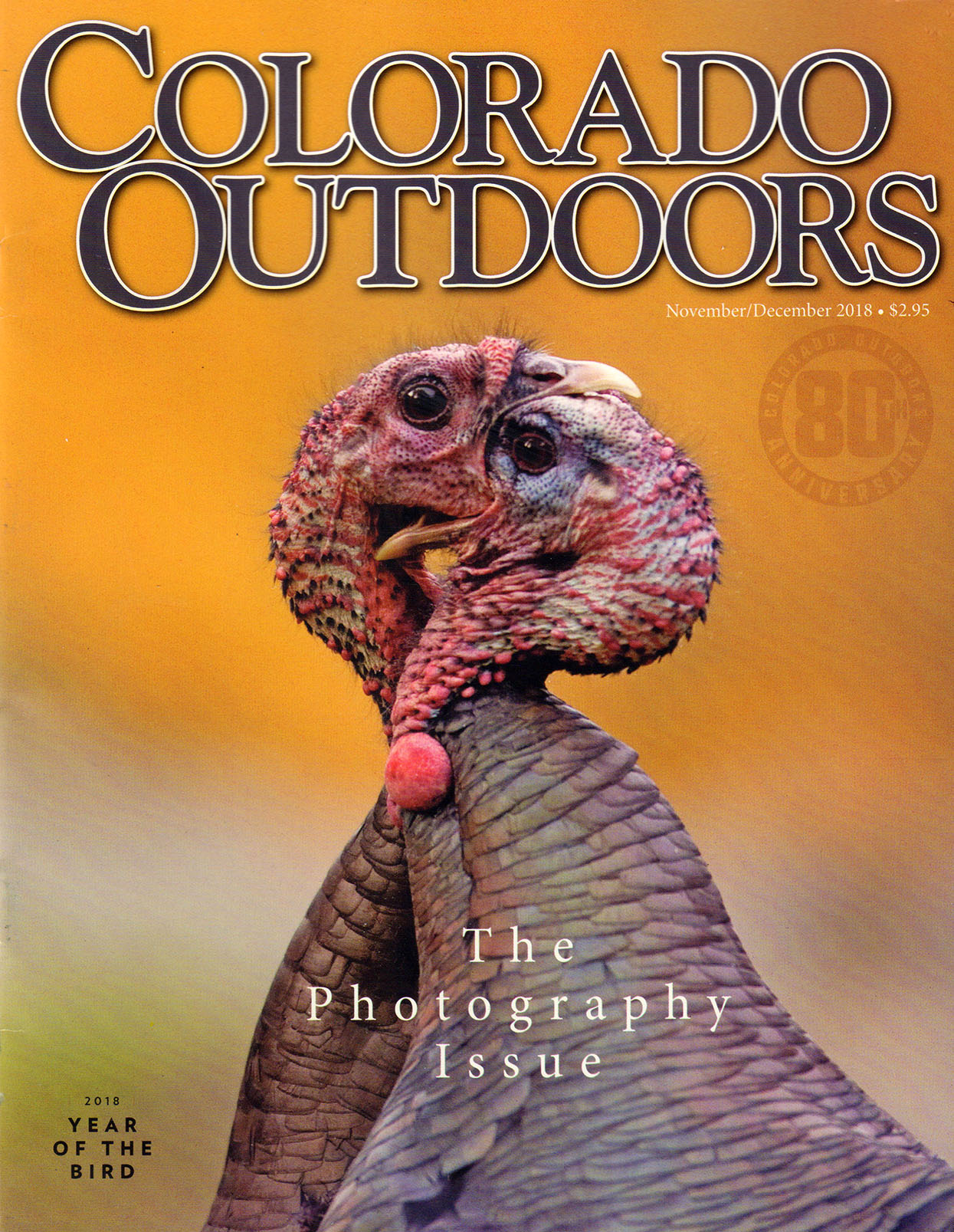 Colorado-Outdoors November 01, 2018 Issue Cover