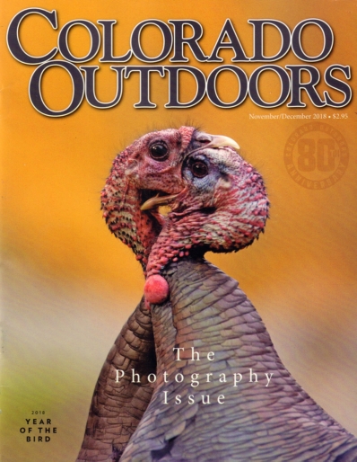 Colorado Outdoors November 01, 2018 Issue Cover