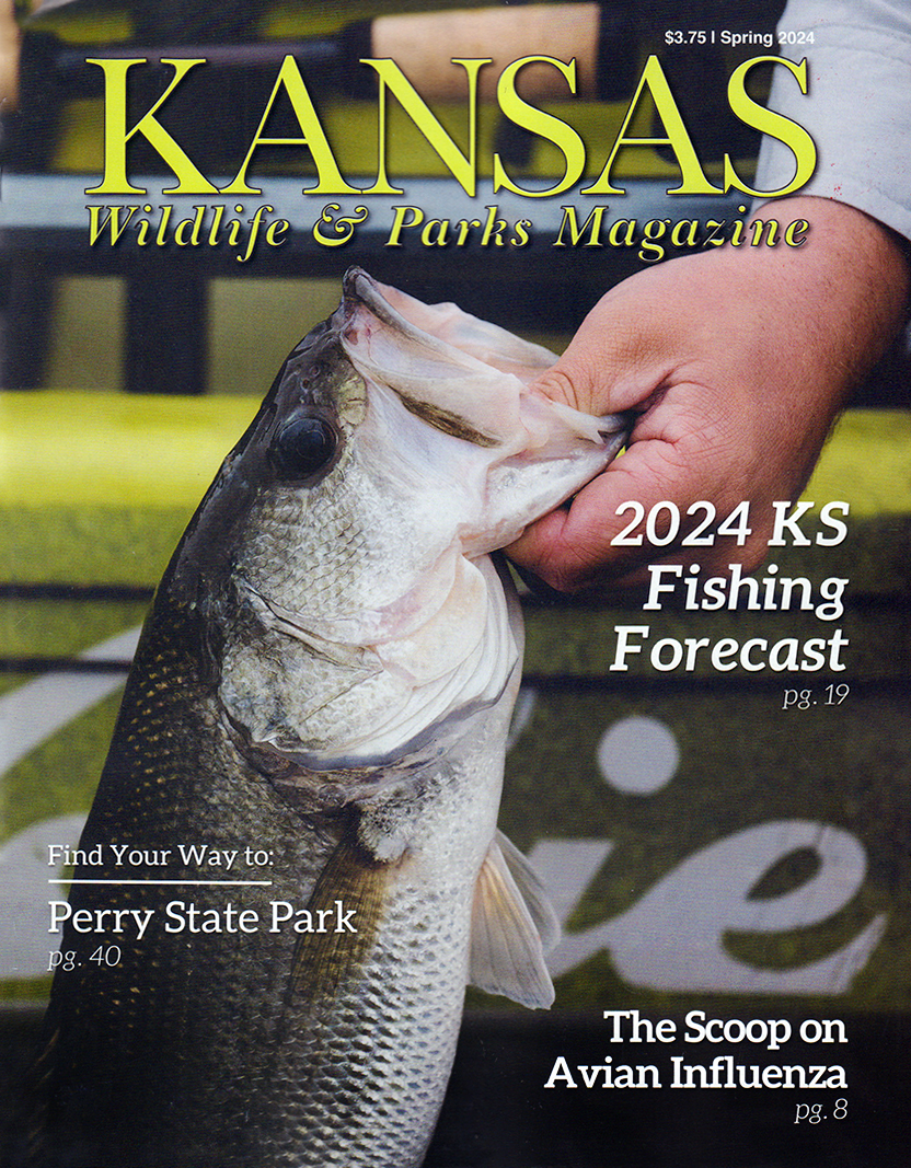 Kansas-Wildlife-and-Parks March 01, 2024 Issue Cover