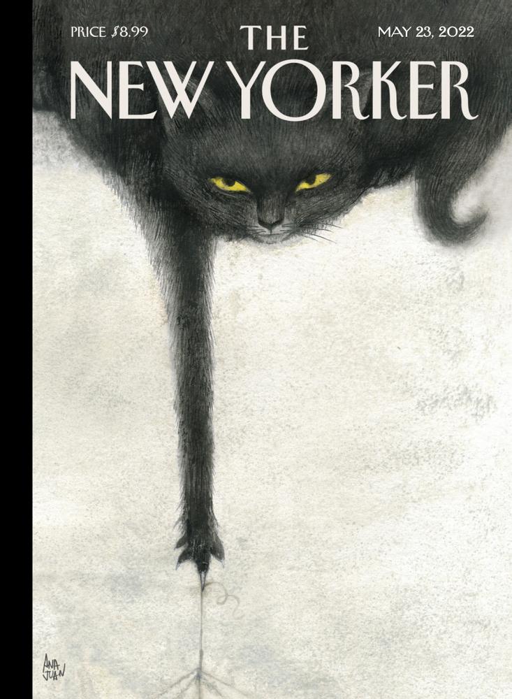 The-New-Yorker May 23, 2022 Issue Cover