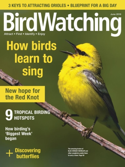 Bird Watching May 01, 2019 Issue Cover