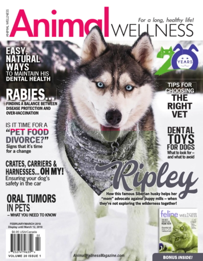 Animal Wellness February 01, 2018 Issue Cover