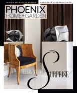 Phoenix-Home-and-Garden August 01, 2024 Issue Cover