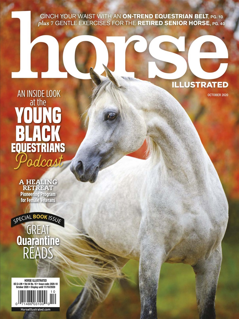 Horse-Illustrated October 01, 2020 Issue Cover