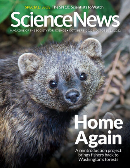 Science-News October 08, 2022 Issue Cover