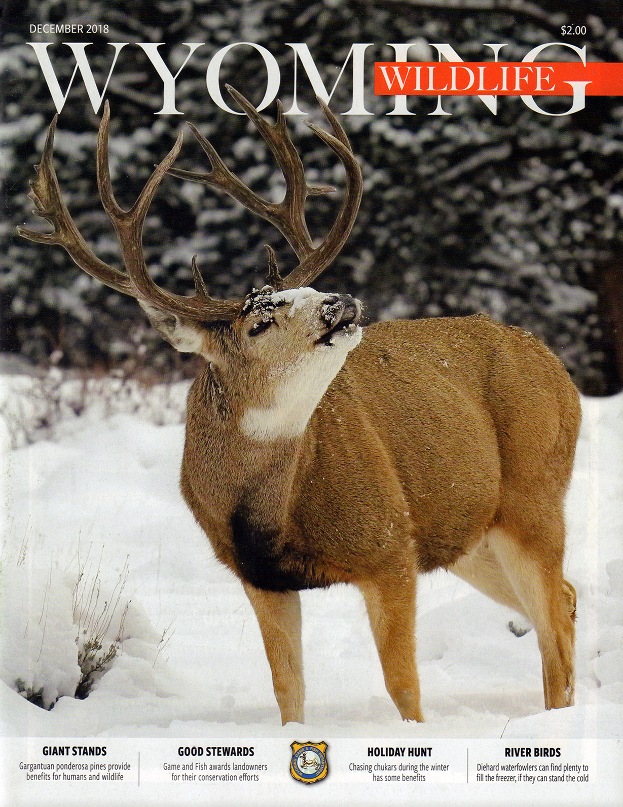 Wyoming-Wildlife December 01, 2018 Issue Cover