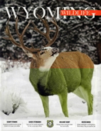 Wyoming-Wildlife December 01, 2018 Issue Cover