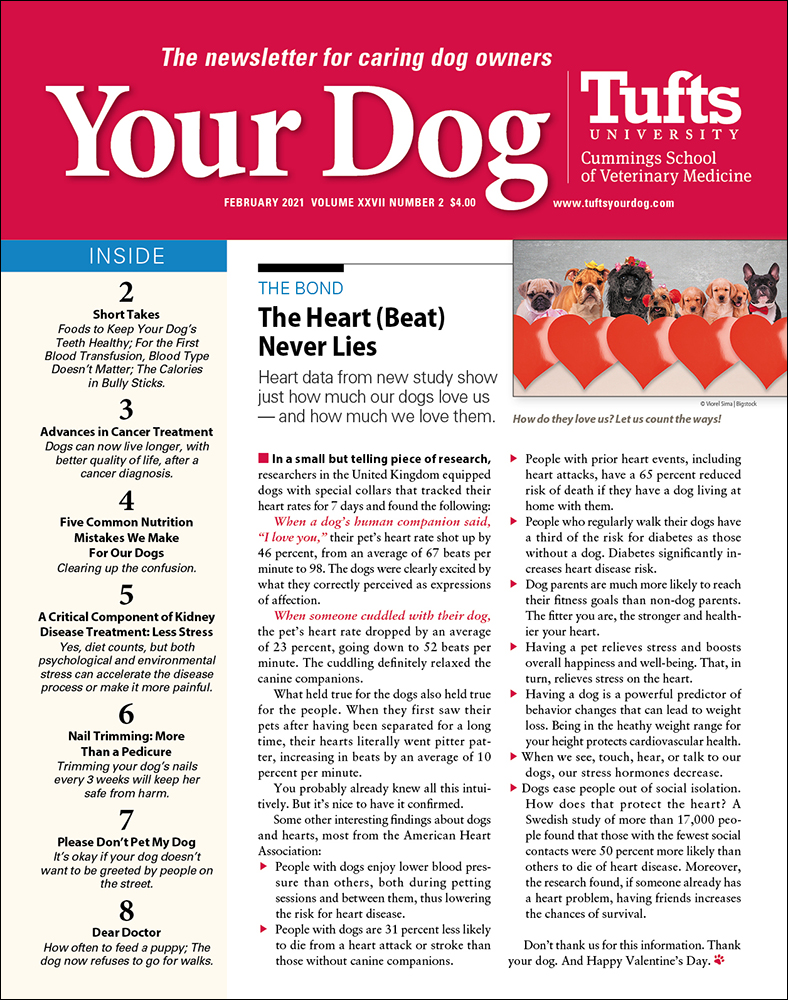 Your-Dog February 01, 2021 Issue Cover