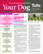 Your-Dog February 01, 2021 Issue Cover