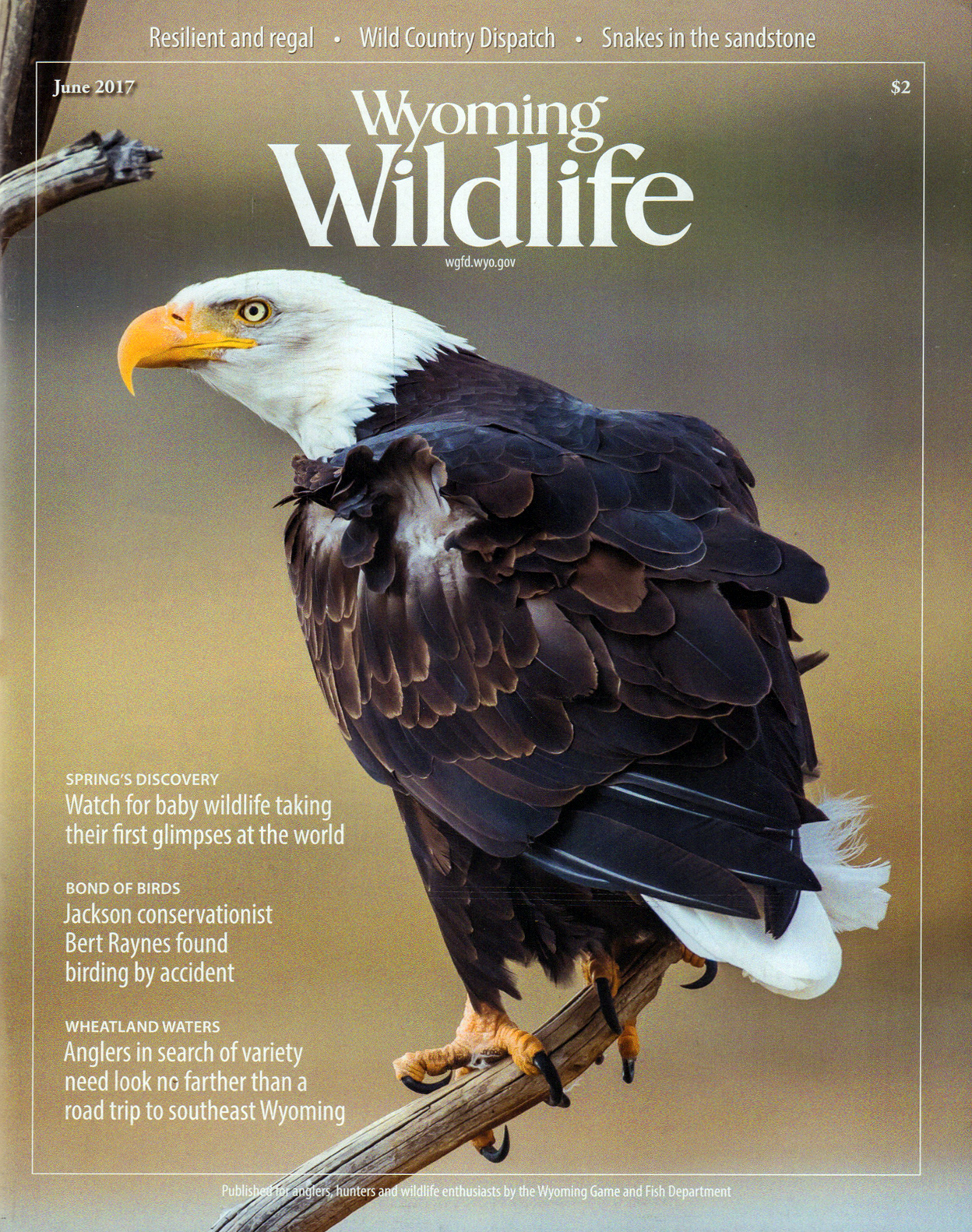 Wyoming-Wildlife June 01, 2017 Issue Cover