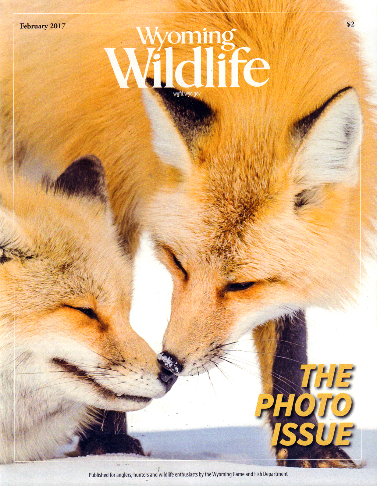 Wyoming-Wildlife February 01, 2017 Issue Cover