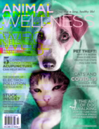 Animal-Wellness February 01, 2021 Issue Cover