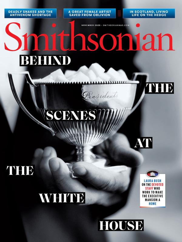 Smithsonian November 01, 2020 Issue Cover