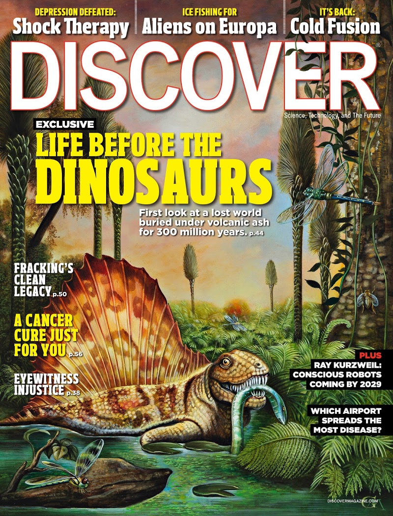 Discover November 01, 2012 Issue Cover