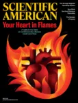 Scientific American May 01, 2026 Issue Cover