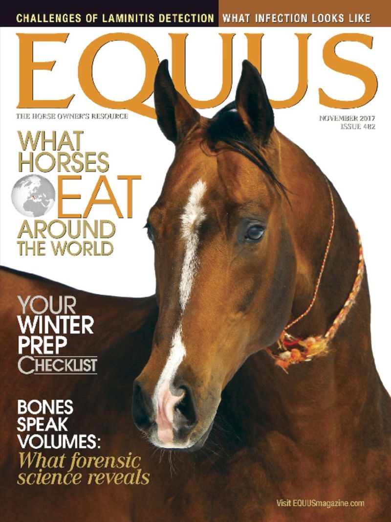 Equus November 01, 2017 Issue Cover