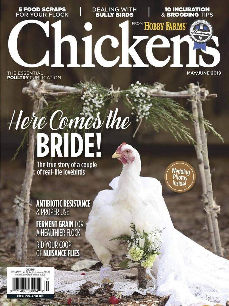 Chickens May 01, 2019 Issue Cover