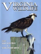 Virginia-Wildlife May 01, 2020 Issue Cover