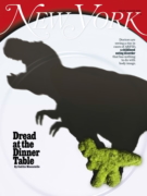 New York Magazine July 28, 2025 Issue Cover