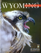 Wyoming-Wildlife February 01, 2020 Issue Cover