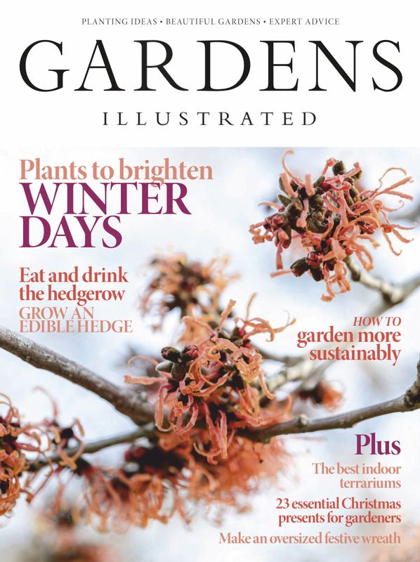 Gardens-Illustrated December 01, 2019 Issue Cover