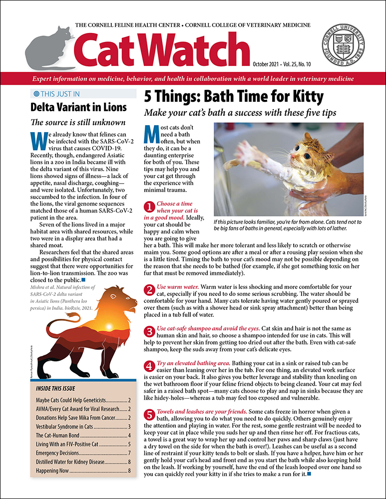 Catwatch October 01, 2021 Issue Cover
