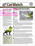 Catwatch October 01, 2021 Issue Cover