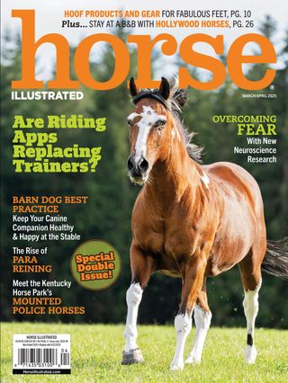 Horse-Illustrated March 01, 2025 Issue Cover