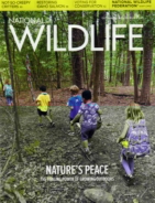 National-Wildlife October 01, 2020 Issue Cover