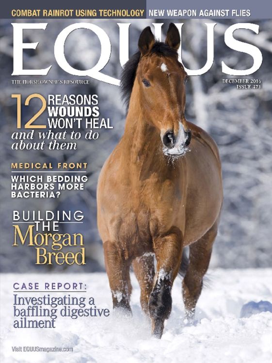 Equus December 01, 2016 Issue Cover