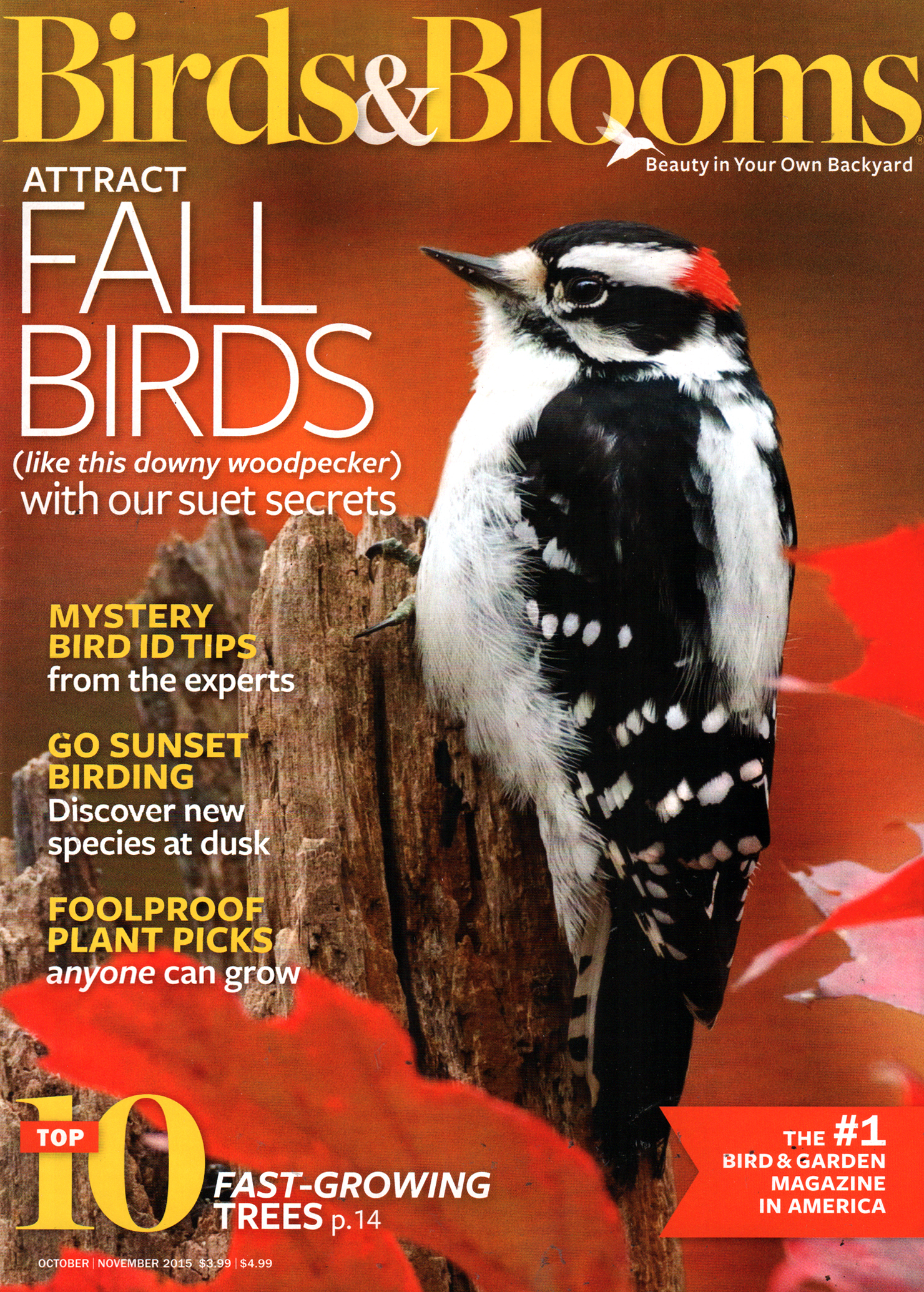 Birds-and-Blooms October 01, 2015 Issue Cover