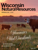 Wisconsin Natural Resources June 01, 2024 Issue Cover