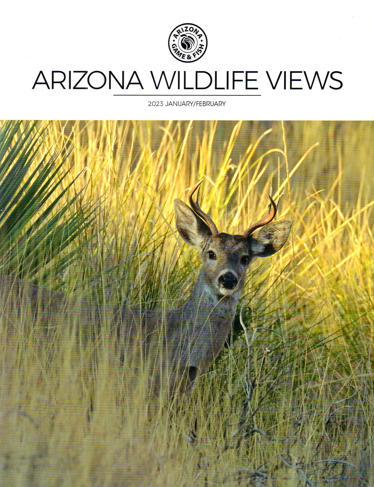 Arizona-Wildlife-Views January 01, 2023 Issue Cover