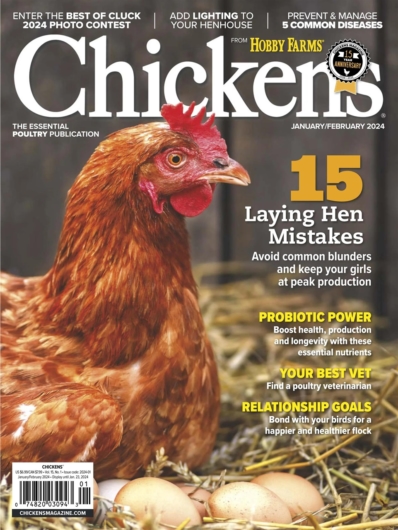 Chickens January 01, 2024 Issue Cover