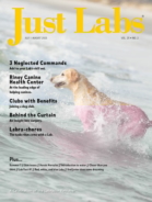 Just-Labs July 01, 2025 Issue Cover