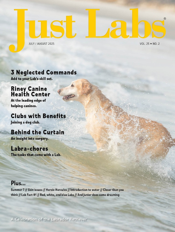 Just Labs July 01, 2025 Issue Cover