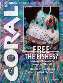 Coral May 01, 2023 Issue Cover