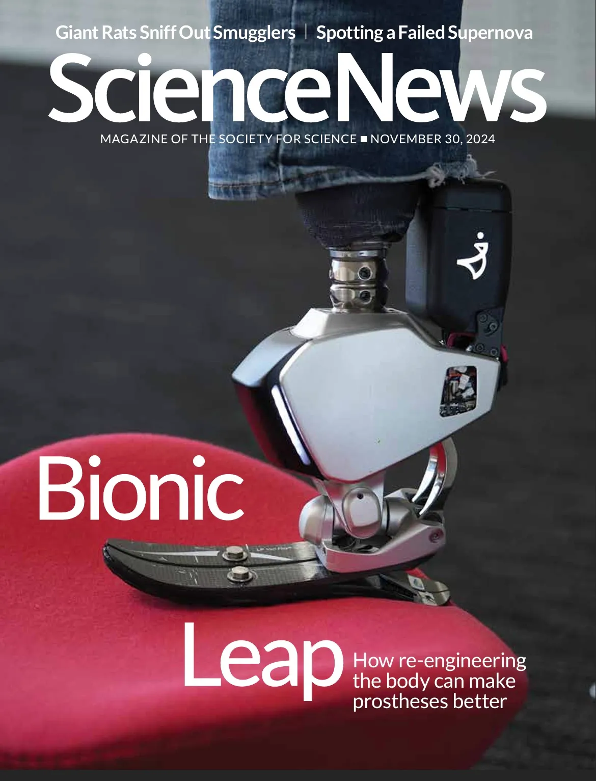 Science-News November 30, 2024 Issue Cover