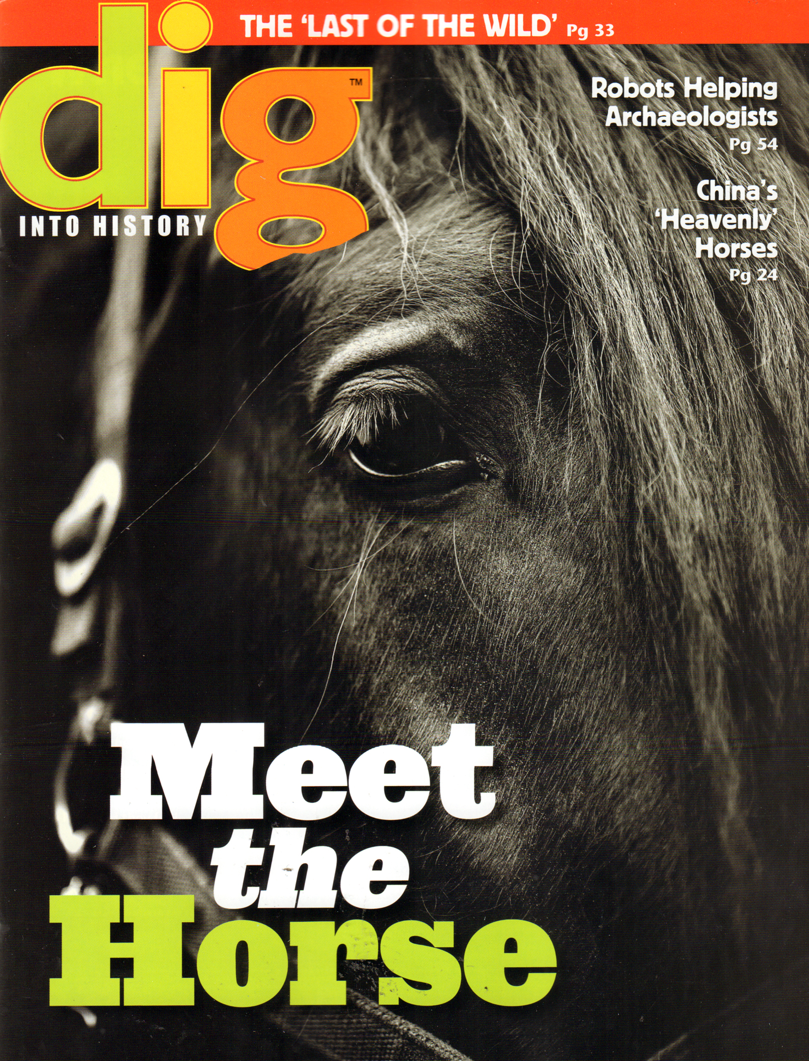 Dig-Magazine July 01, 2015 Issue Cover