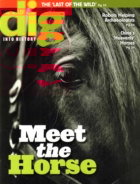 Dig-Magazine July 01, 2015 Issue Cover