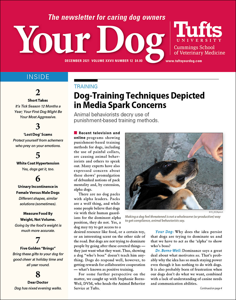 Your-Dog December 01, 2021 Issue Cover