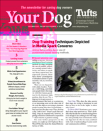 Your-Dog December 01, 2021 Issue Cover