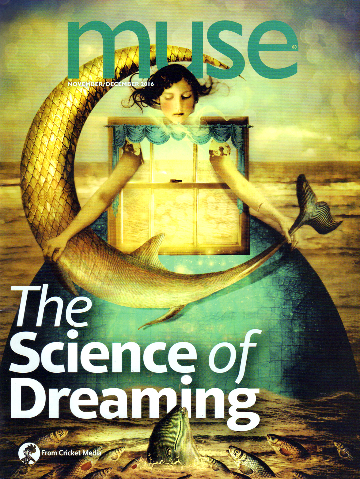 Muse November 01, 2016 Issue Cover