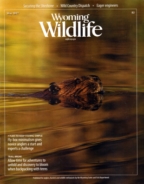 Wyoming-Wildlife May 01, 2017 Issue Cover